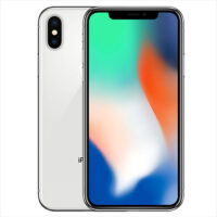 Iphone X 256 Argento